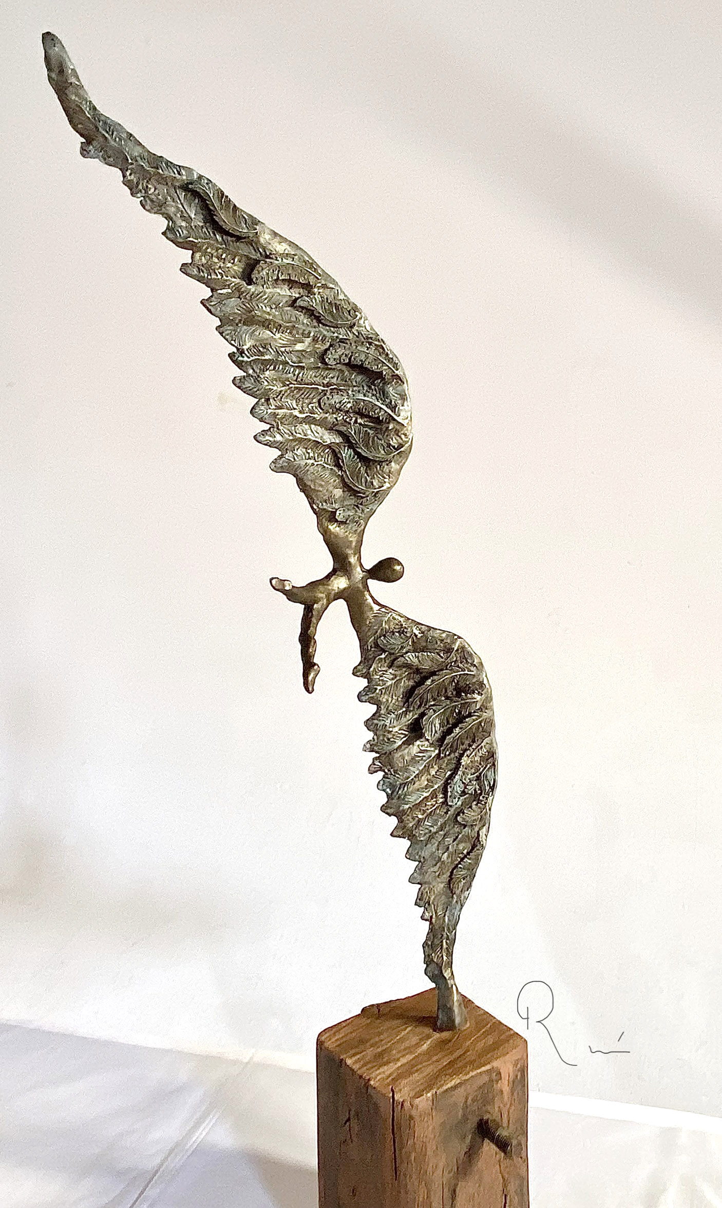 Vreemde-vogel